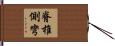 脊椎側彎 Hand Scroll