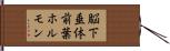 脳下垂体前葉ホルモン Hand Scroll