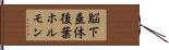 脳下垂体後葉ホルモン Hand Scroll