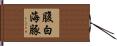 腹白海豚 Hand Scroll