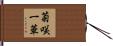 菊咲一華 Hand Scroll