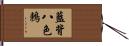 藍背八色鶇 Hand Scroll
