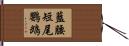 藍腰短尾鸚鵡 Hand Scroll