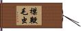 襟鞭毛虫 Hand Scroll