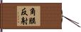 角膜反射 Hand Scroll