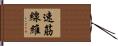 速筋線維 Hand Scroll