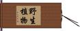 野生植物 Hand Scroll