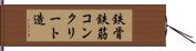 鉄骨鉄筋コンクリート造 Hand Scroll