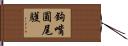 鉤嘴圓尾鸌 Hand Scroll
