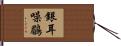 銀耳噪鶥 Hand Scroll