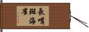 長嘴斑海雀 Hand Scroll