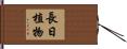 長日植物 Hand Scroll