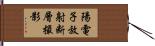 陽電子放射断層撮影 Hand Scroll