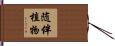 随伴植物 Hand Scroll