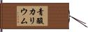 青酸カリウム Hand Scroll