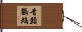青頭鸚鵡 Hand Scroll