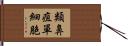 類鼻疽單細胞 Hand Scroll