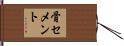 骨セメント Hand Scroll