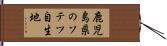 鹿児島県のソテツ自生地 Hand Scroll