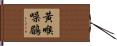 黃喉噪鶥 Hand Scroll