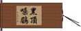 黑頂噪鶥 Hand Scroll