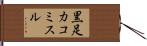 黒足カコミスル Hand Scroll