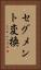 セグメント変換 Vertical Portrait