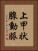 上甲状腺動脈 Vertical Portrait