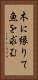 木に縁りて魚を求む Vertical Portrait