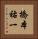 橋本祐一 Vertical Portrait