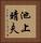 池上晴夫 Vertical Portrait