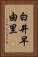 白井早由里 Vertical Portrait