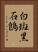 白斑黑石鵖 Vertical Portrait