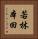 若林本田 Vertical Portrait