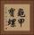 龜甲寶螺 Vertical Portrait