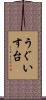 うぐいす台 Scroll