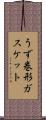 うず巻形ガスケット Scroll