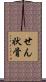 せん状骨 Scroll