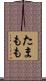 たまもも Scroll