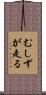 むしずが走る Scroll