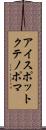 アイスポットクテノポマ Scroll