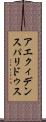 アエクィデンスパリドゥス Scroll