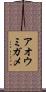 アオウミガメ Scroll
