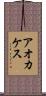 アオカケス Scroll