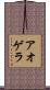 アオゲラ Scroll