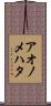 アオノメハタ Scroll
