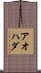 アオハダ Scroll