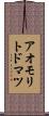 アオモリトドマツ Scroll