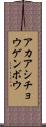 アカアシチョウゲンボウ Scroll