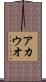 アカウオ Scroll